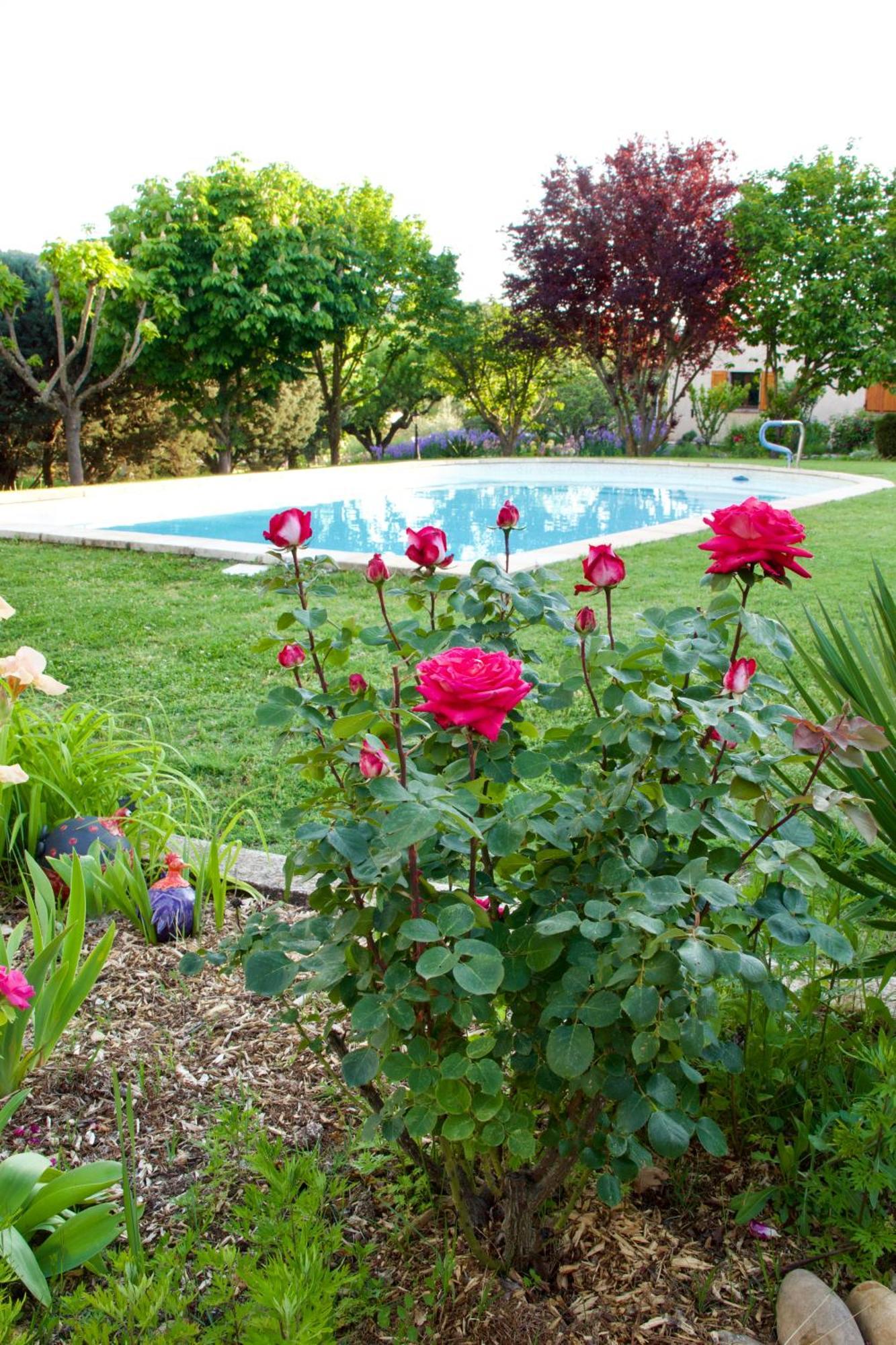 La Bastide Des Roses Bed & Breakfast Saint-Julien-d'Asse Exterior photo